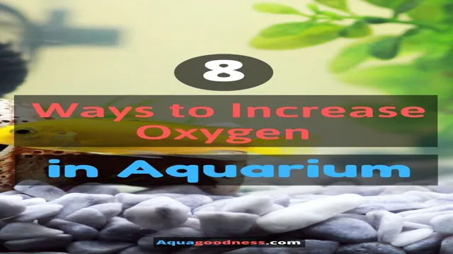 how to increase oxygen in reef aquarium