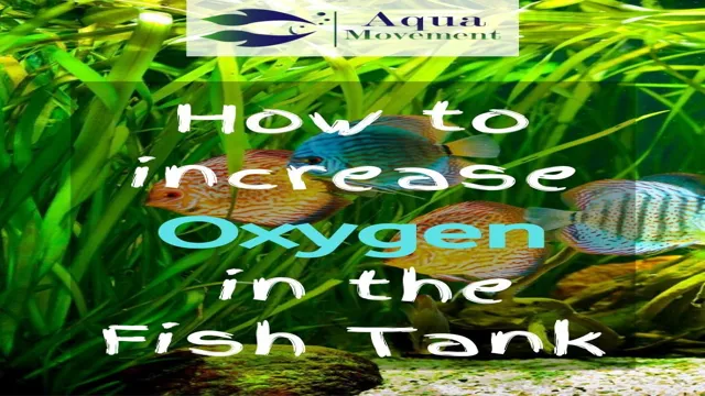 how to increase oxygen in saltwater aquarium