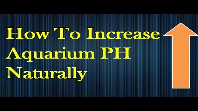 how to increase ph in an aquarium