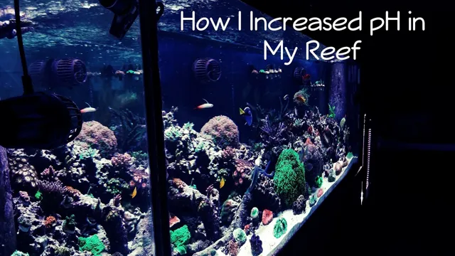 how to increase ph in aquarium shell 2