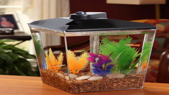 How to Install Aqua Culture Aquarium: A Step-by-Step Guide for Beginners