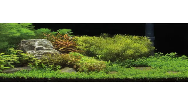 how to install top fin aquarium background