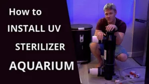 how to install uv sterilizer in aquarium