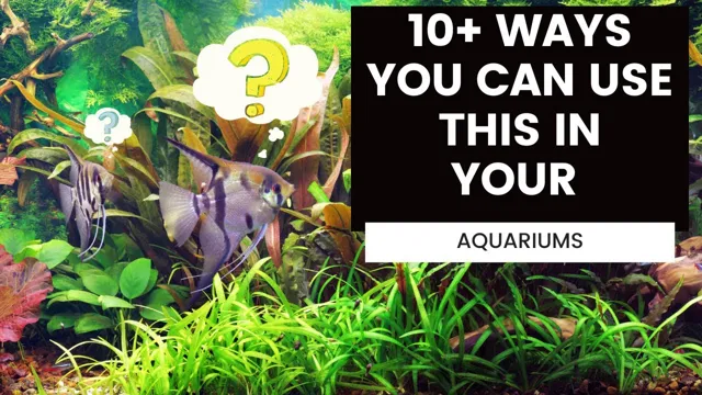 how to install water pump in aquarium