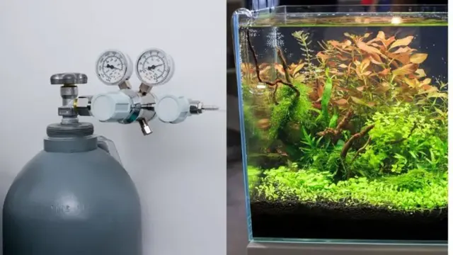 how to introduce co2 into aquarium diy aquarium