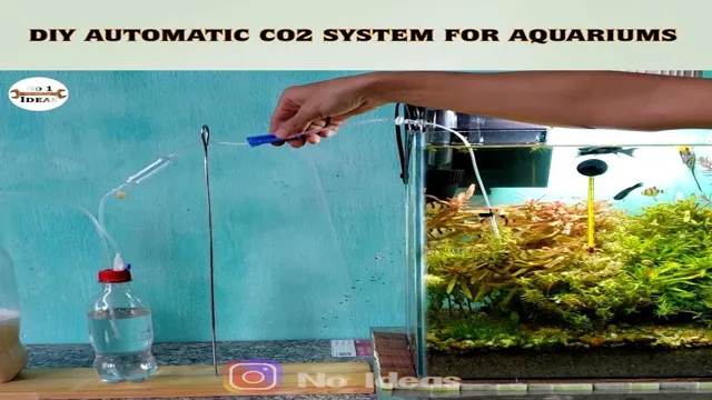 How to Introduce CO2 into Aquarium: DIY Aquarium Guide for Beginner Aquarists