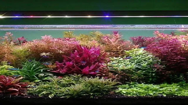 how to introduce store bought plant to aquarium