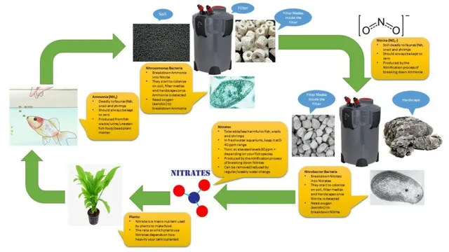 How to Jump Start a Nitrogen Cycle in an Aquarium: Tips and Tricks