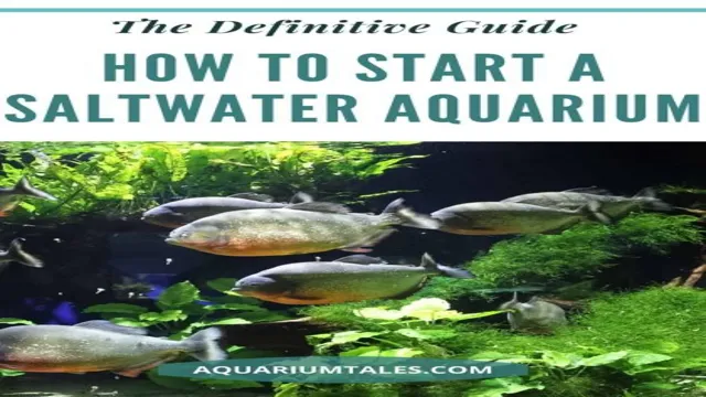 how to jump start a saltwater aquarium