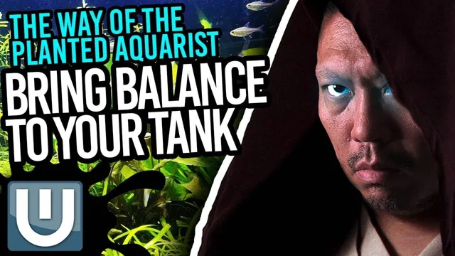 How to Keep a Balanced Aquarium: Tips for Maintaining Ideal Water Conditions