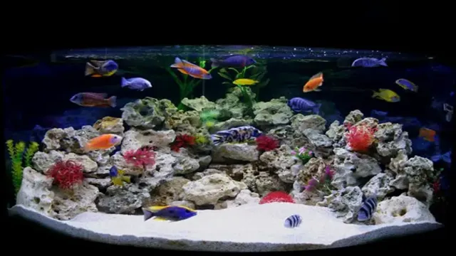 How to Keep a Brackish Aquarium: Tips and Tricks for Maintaining Healthy Salinity Levels