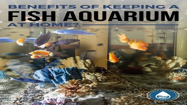 How to Keep a Healthy Marine Aquarium: Tips and Tricks for Maintaining Optimal Water and Fish Health