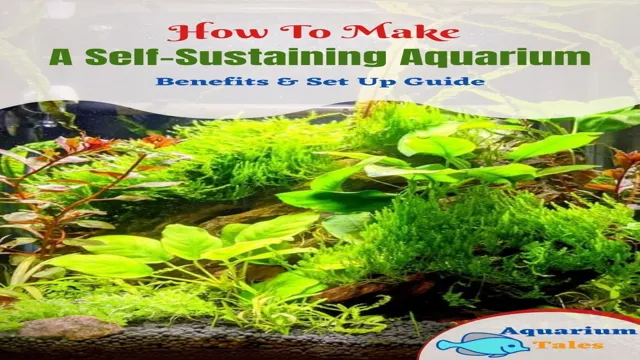 how to keep a healthy planted aquarium