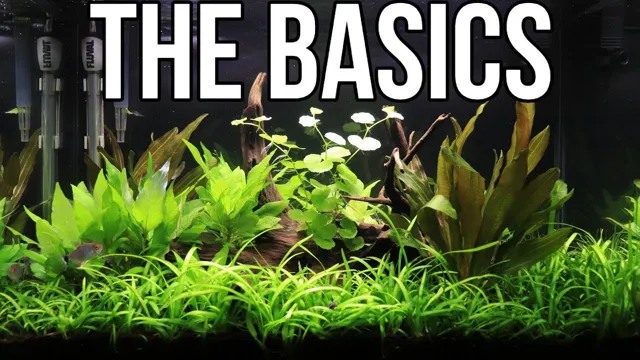 How to Keep a Healthy Planted Aquarium: Essential Tips and Tricks