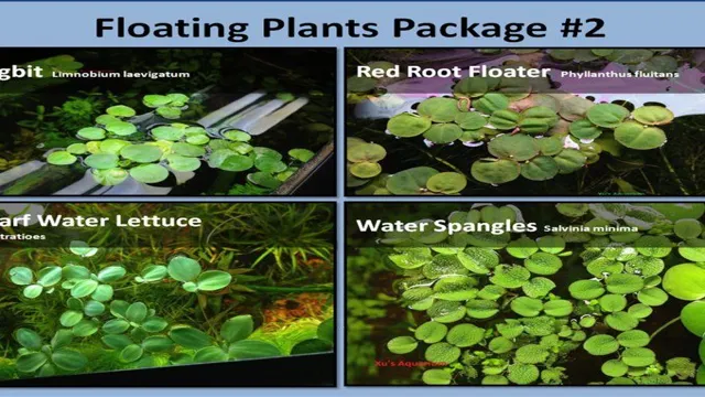 how to keep a regular plants floating in aquarium