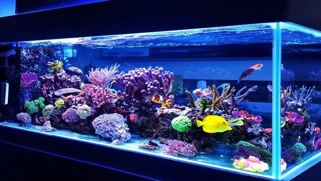 how to keep a saltwater aquarium crystal clear