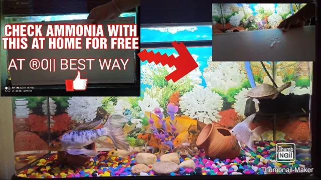how to keep ammonia down in small aquariums