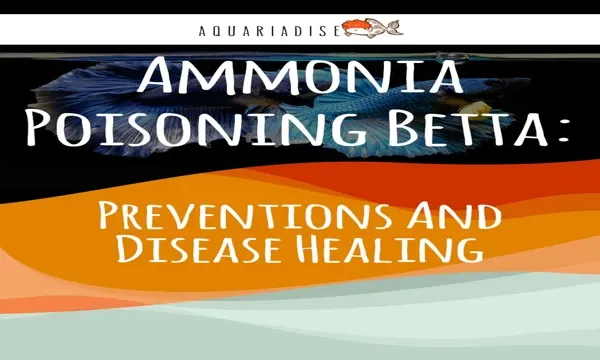 How to Keep Ammonia Levels Down in Aquarium: Top Tips and Tricks