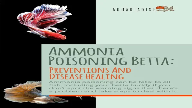 how to keep ammonia low in aquarium