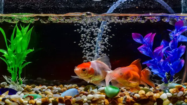 How to Keep an Aquarium Air Bubbler Down: Tips for Reducing Noise and Maintaining Water Quality