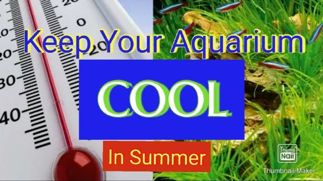 how to keep an aquarium cool in direct sunlight