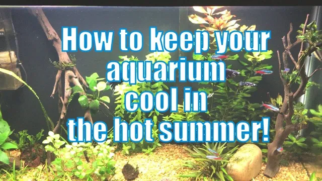 How to Keep an Aquarium Cool in Direct Sunlight – Tips and Tricks.