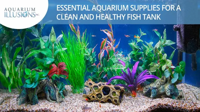 how to keep an aquarium healthy