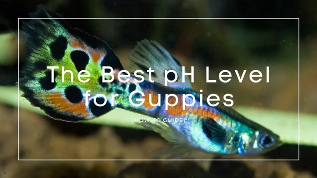 How to Keep an Aquarium pH Stable for Guppies: Top Tips and Tricks