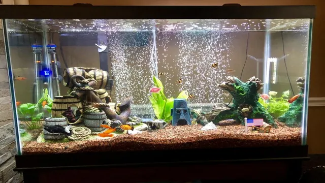 How to Keep an Aquarium Clean and Healthy: A Comprehensive Guide