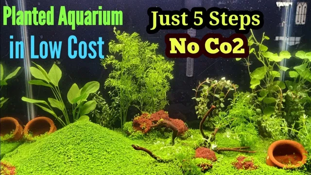 how to keep aquarium carpet from shifting