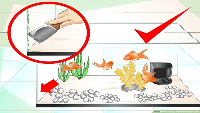 how to keep aquarium clean without filter
