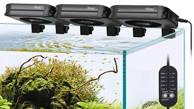 How to Keep Aquarium Cool Without Chiller: Top Tips and Tricks