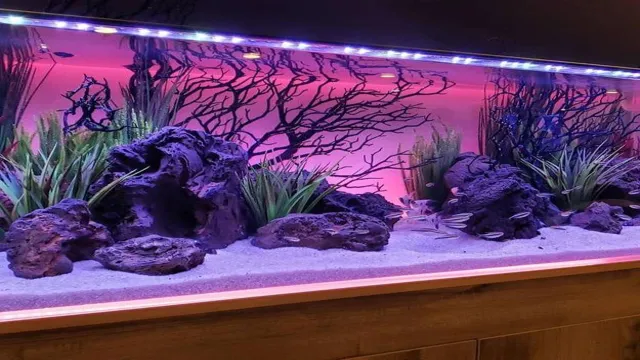 How to Keep Aquarium Decorations from Floating: Tips and Tricks