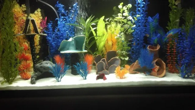 How to Keep Aquarium Decorations from Moving: Tips and Tricks for a Stable Tank