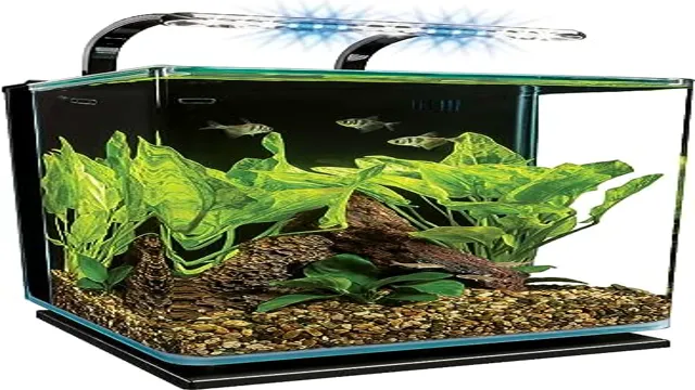 How to Keep Aquarium Glass Top Clear with These Simple Steps