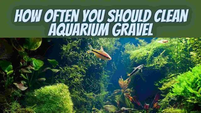 how to keep aquarium gravel smooth