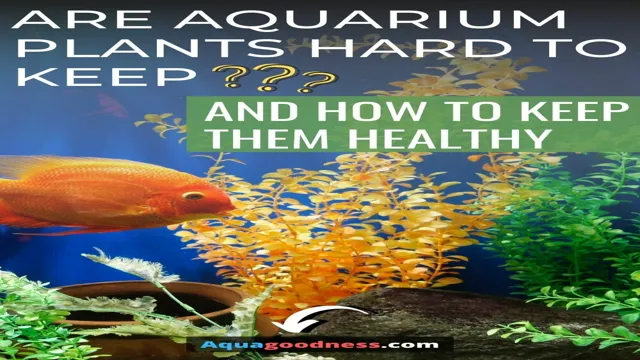 How to Keep Aquarium Plants Healthy: Tips and Tricks for Successful Maintenance