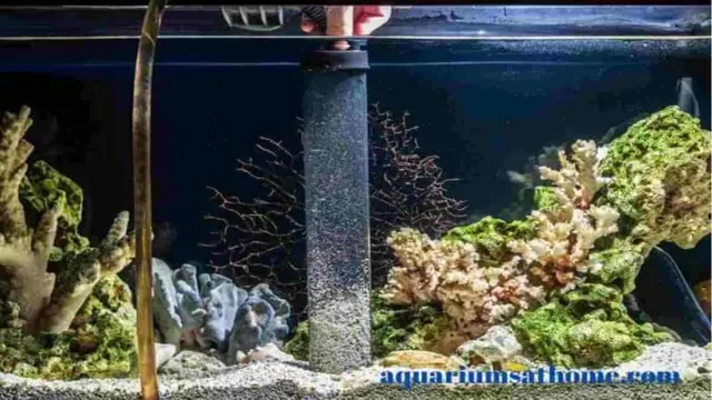 how to keep aquarium substrate gas free