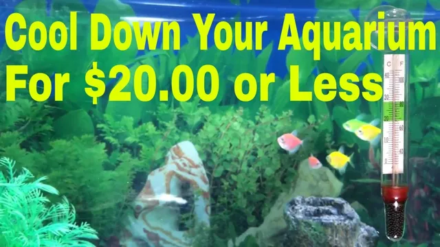 how to keep aquarium temperature down