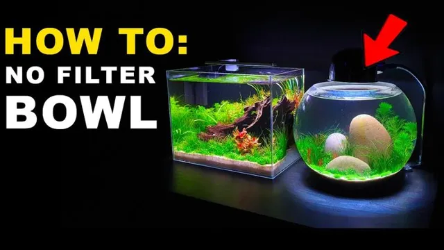 How to Keep Aquarium Water Clear Without Filter: Effective Methods for Crystal Clear Water