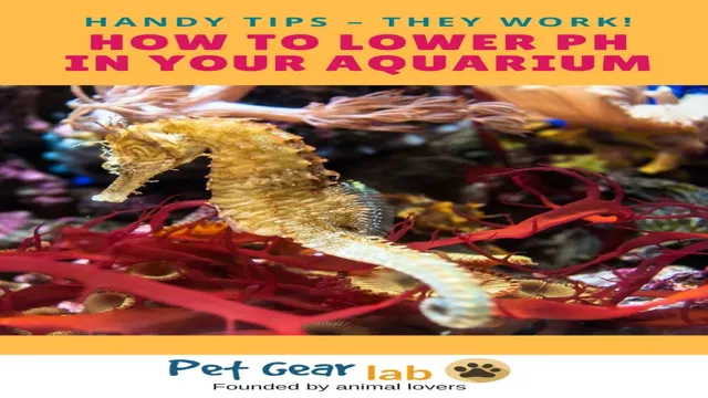 How to Keep Low PH in Aquarium: Top 5 Tips for Maintaining Optimal Water Quality