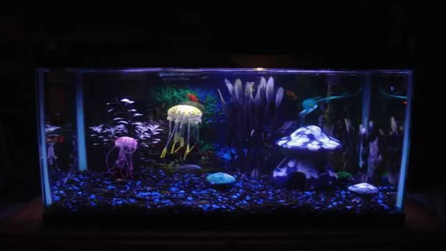 How to Keep Man of War Jellyfish Aquarium: Tips and Tricks for Successful Maintenance