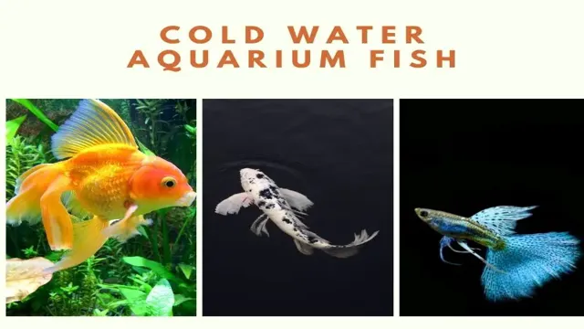 How to Keep Marine Aquariums Cold: Tips for Maintaining Optimal Temperature