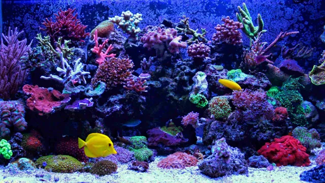 how to keep roku aquarium screensaver on for longer