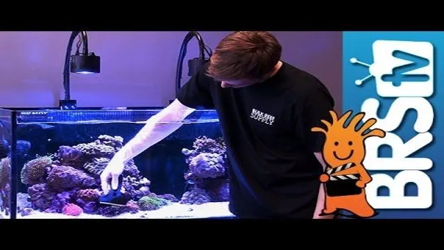 how to keep saltwater aquarium glass clean