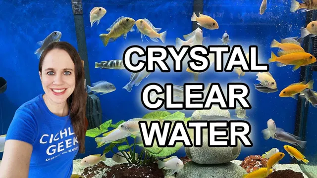 how to keep saltwater aquarium water clear