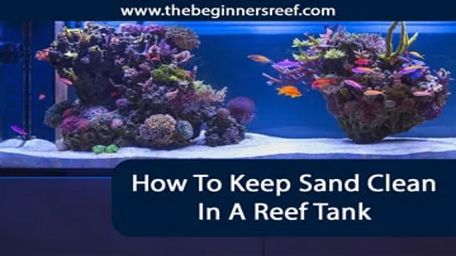 How to Keep Sand Clean in Aquarium: Tips and Tricks for a Pristine Aquatic Environment