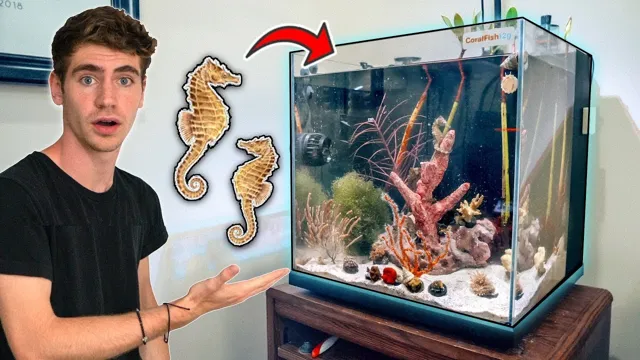 How to Keep Seahorses in Aquarium: A Comprehensive Guide for Beginners