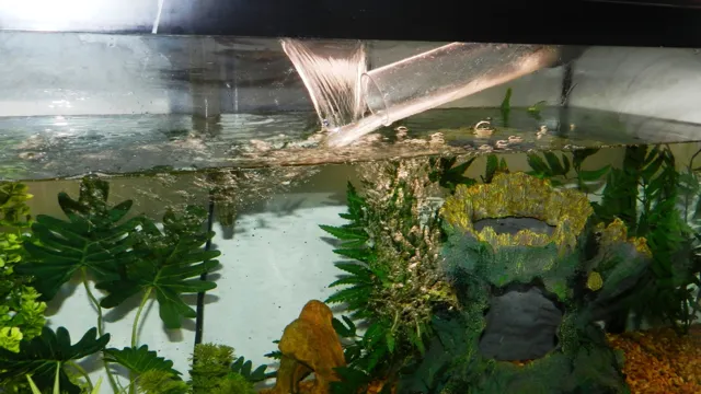 how to keep small fish out of an aquarium weir