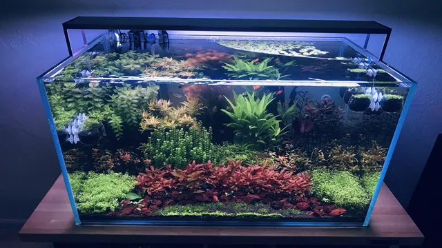 how to keep small plants from floating in aquarium